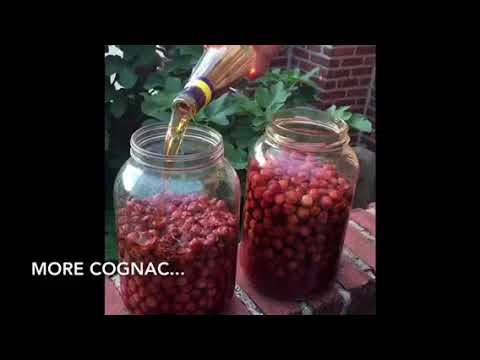 Visino Pioto (Sour Cherry Liqueur)