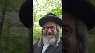 פונקען פון פייער🔥פרשת בהעלותיך תשפ"ה (הרב מוטה פראנק) - התמונה מוצגת ישירות מתוך אתר האינטרנט יוטיוב. זכויות היוצרים בתמונה שייכות ליוצרה. קישור קרדיט למקור התוכן נמצא בתוך דף הסרטון