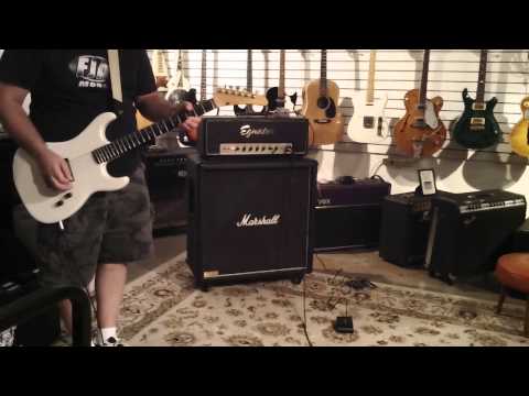 FJA modded Egnater SW45 Nick Mod 2