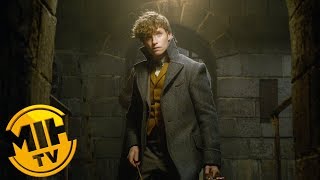 Fantastic Beasts The Crimes of Grindelwald - Callum Turner, Katherine Waterston, Eddie Redmayne video