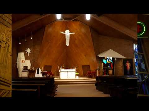 Kunigas Gintaras Jonikas apie kunigystę JAV