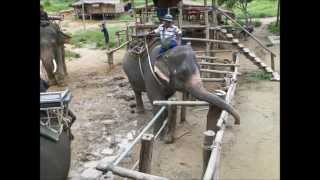 preview picture of video 'Elephant Treking Thailand River kwai Jungle Adventure 2013'