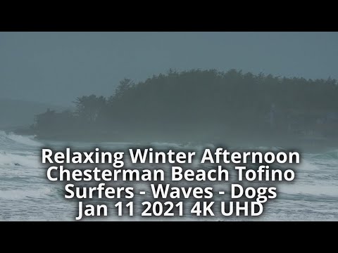 Relaxing Winter Afternoon on Chesterman Beach, Tofino with Surfers Waves and Dogs 4K UHD Slow TV
