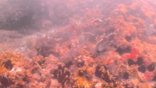 Ilha Rasa de fora-Guarapari-ES