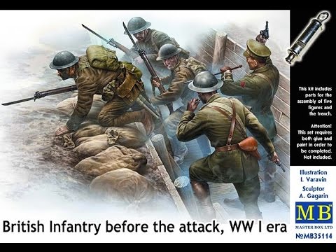 CBD for Cats Video Preview