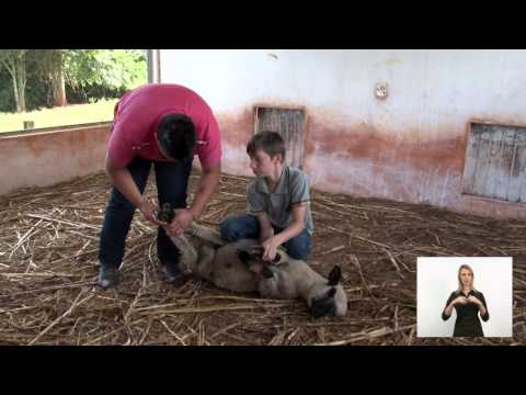 Institucional Instituto Federal Farroupilha