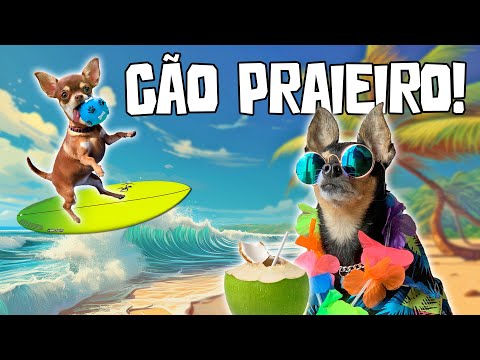 AS MELHORES PRAIAS QUE JÁ VISITAMOS COM NOSSOS CACHORROS!