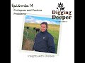 DIGGING DEEPER Prolapses And Pasture Problems Insights With Chelsea