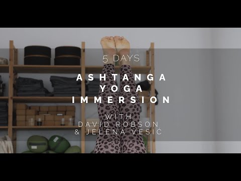 Ashtanga Yoga Immersion with David Robson & Jelena Vesić  at Tula Yogastudio's Amsterdam