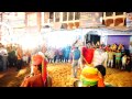 Dancing Horse