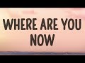 Alan Walker Where Are You Now Faded Lyrics