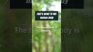 Human body… Do you agree? #shorts #boyfriend #girlfriends #funfacts