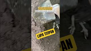 Download lagu Lupa Titipan #fyp #nasehat #ngaji #gusbaha #storywa mp3 Download lagu Lupa Titipan #fyp #nasehat #ngaji #gusbaha #storywa mp3