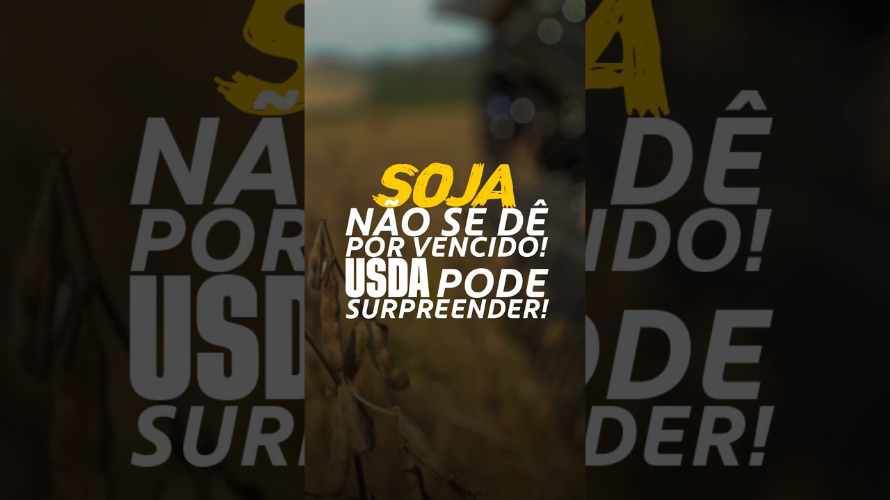 SOJA: NÃO SE DÊ POR VENCIDO! USDA PODE SURPREENDER!
