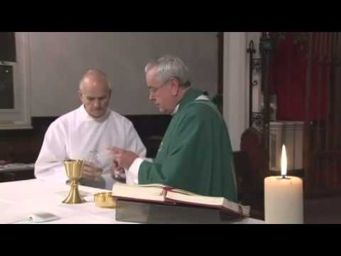 Daily Mass, Saturday 15 November 2014