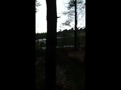 Bushcraft Winter Treffen 2019 in Amberg || Teil 2|| Das Lager 1/2