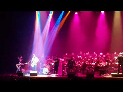 Sayo Orchestra - Silent Sanctuary