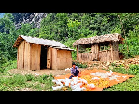 FULL VIDEO: 55 Days to Building a Kitchen and a Bamboo House . From start to finish
