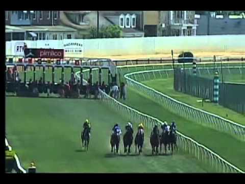 Pimlico 05/08/15 race 5
