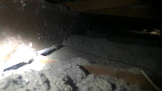 Cellulose insulation what a bad installation looks like and why it does not work