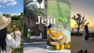 【Jeju trip EP.1】 韓国🇰🇷秋のチェジュ島旅行(タルト作り/ゴーカート/黒豚)