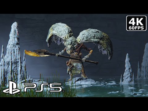 Elden Ring | Valiant Gargoyle Duo Boss Fight (No Summons / Mage / Moonveil)