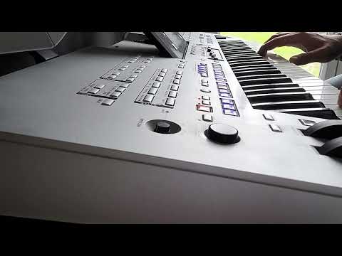 la paloma tyros 4 accordéon musette