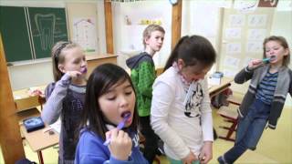 Czech Republic (2013)