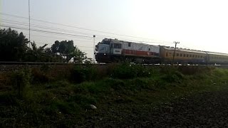 preview picture of video 'Kereta Api Maharani relasi Surabaya Ps Turi - Semarang Poncol'