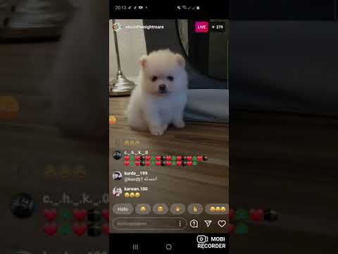 Sherin voll comedy 😍