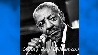 Blues Man................................................tsrgp