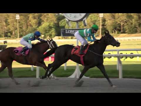 230218 c06 DESTEMIDA (BRZ)