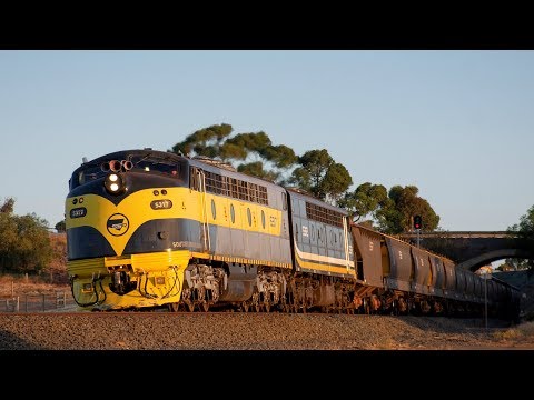 Australian Bulldog Locomotives Climb Through Sunset (SSR's 9197 To Manangatang) | S317, S312