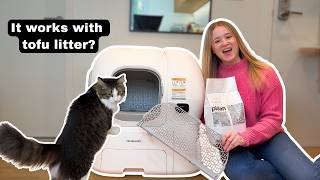 the BEST automatic cat litter box for tofu litter