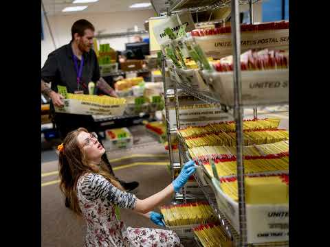 National scrutiny on mail ballots changed Utah's elections system
