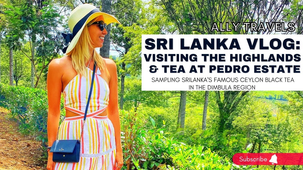 Join a tourist on a captivating visit to Pedro Tea Estate.