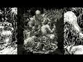 BASHED IN Seething Gristle TRACK PREMIERE 2022