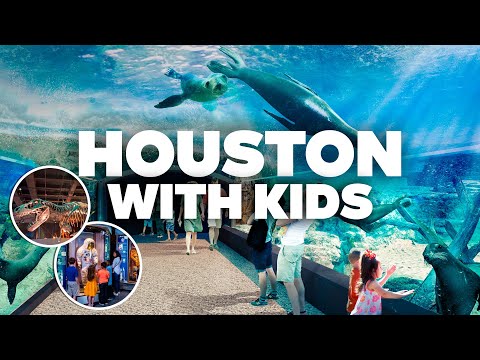 HOUSTON WITH KIDS! Best Things to Do and Family Fun!