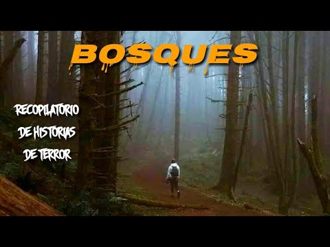Recopilatorio de Historias de Terror Ocurridas en BOSQUES