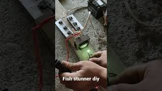 Download lagu diy fish stunner dipa nasubukan mp3 Download lagu diy fish stunner dipa nasubukan mp3