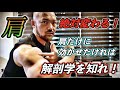 【筋トレ】肩だけを発達させるサイドレイズ!解剖学的に僧帽筋に効かせず三角筋に効かせる方法!
