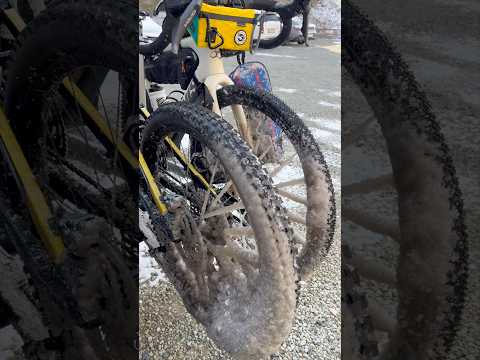 후미형 자전거 캐리어의 단점