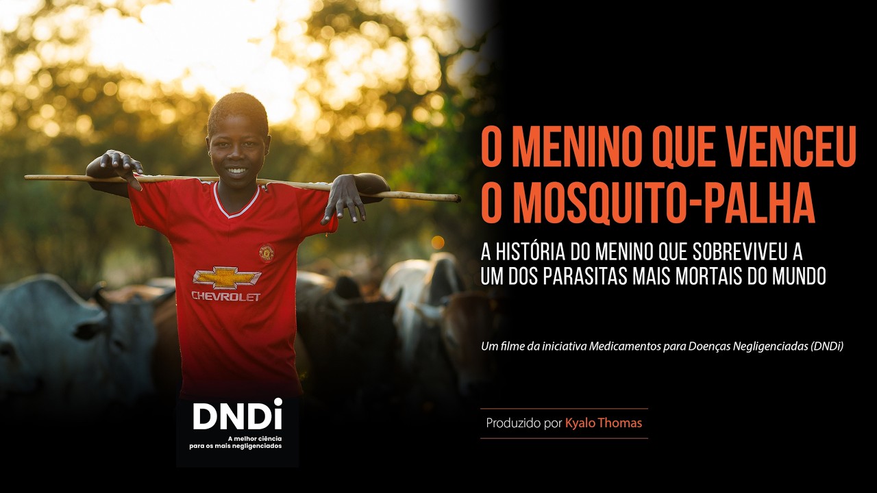 O Menino que venceu o mosquito-palha