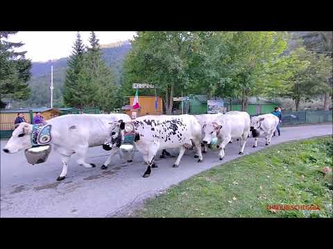 4^PARTE : TRANSUMANZA A PONTECHIANALE IN VALLE VARAITA (CN) DOM. 11 - 9 - 2022.