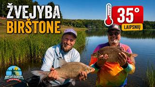 Karščiausia šios vasaros žvejyba Birštone. Ar karšiai dar kimba? 🔥🎣 ⭐