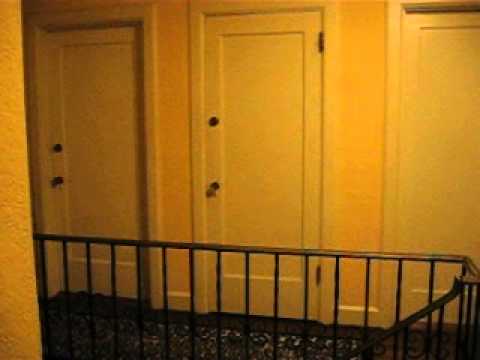 dog @ Shireen's place