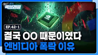 엔비디아 폭락의 진짜 이유는 | 9만 달러 붕괴한 비트코인 | 월가백브리핑
