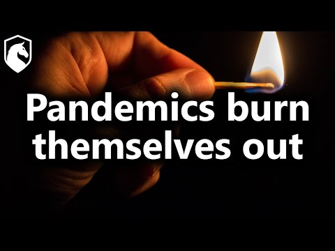 The greatest lie told during the pandemic (from Livestream #165)