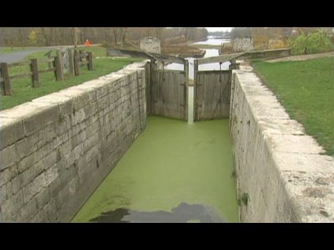 Illinois and Michigan Canal: A 19th-Century Engineering Marvel