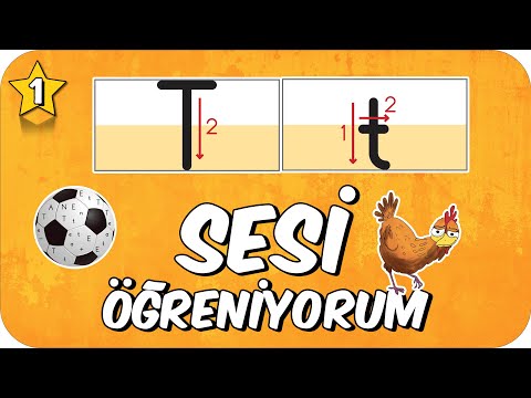 T Sesi Öğretimi ⚽ Okunuşu ve Yazılışı 🐰 1.Sınıf #2025
